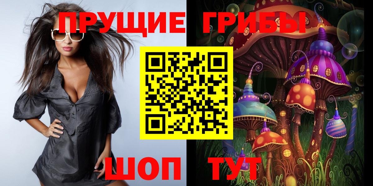 цена   Вход с VPN  Крымск  Галлюциногенные грибы Psilocybe  Галлюциногенные грибы GOLDEN TEACHER 